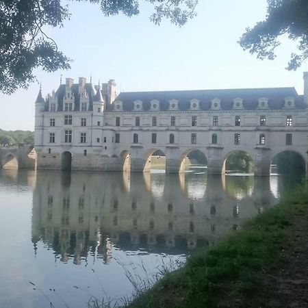 Gite Rural Chenonceaux Francueil Exteriör bild